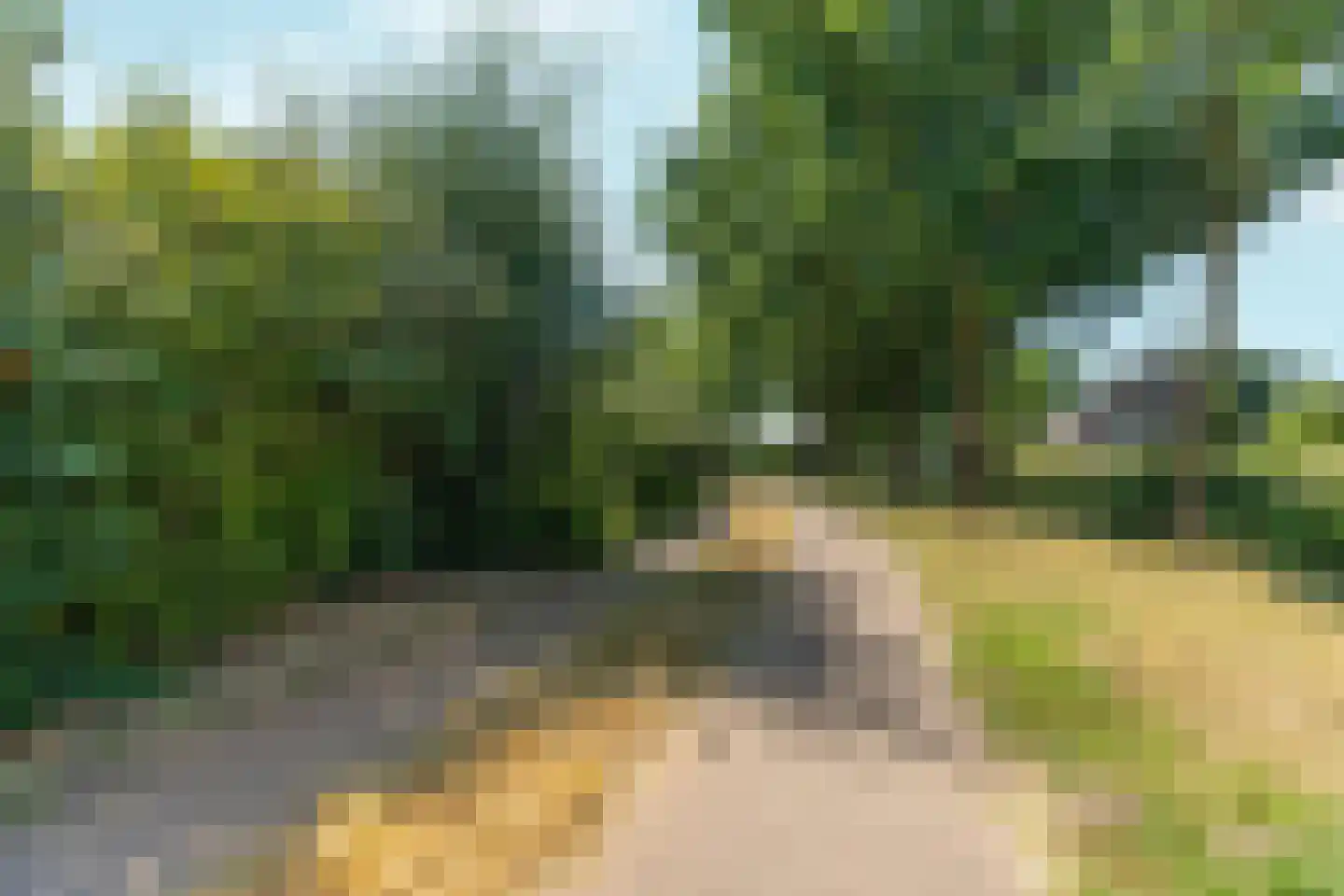 Gepkespad 17 Herpen thumbnail 45
