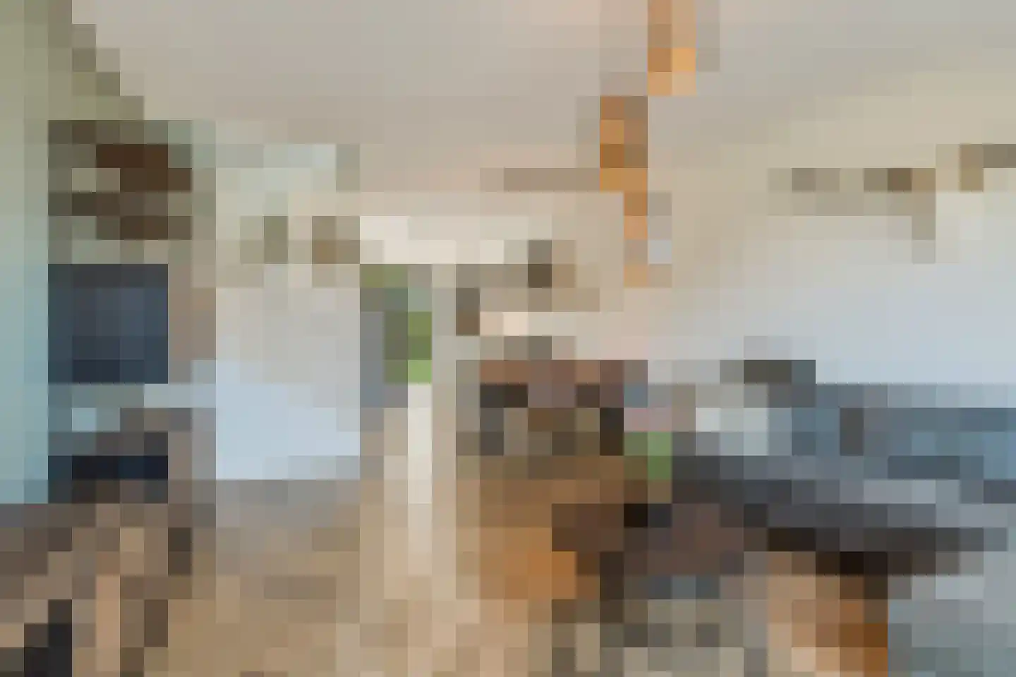 Gepkespad 17 Herpen thumbnail 5