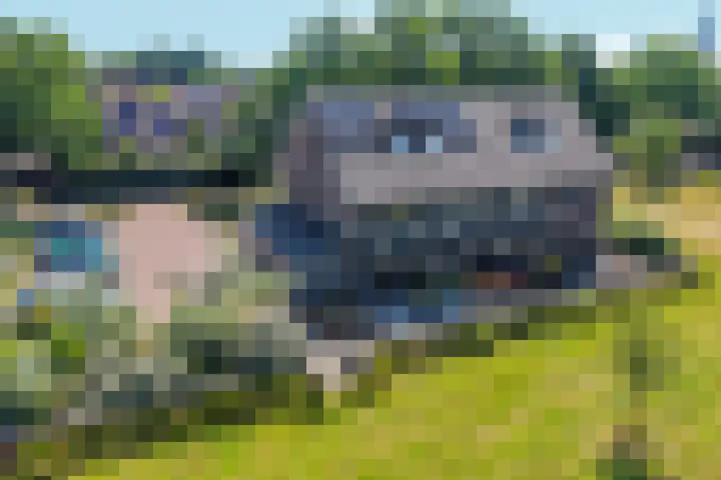 Gepkespad 17 Herpen thumbnail 50