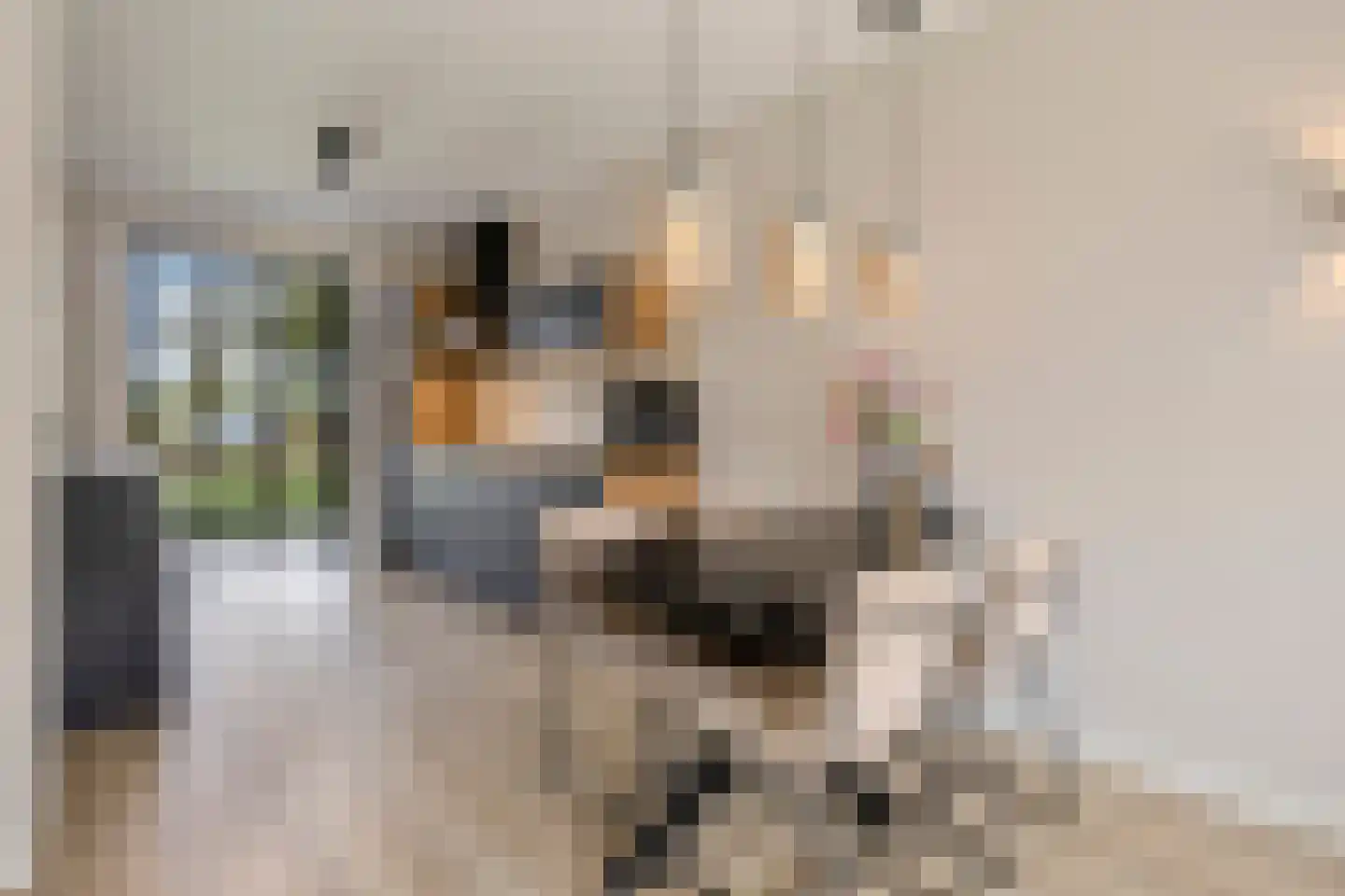 Gepkespad 21 Herpen thumbnail 14