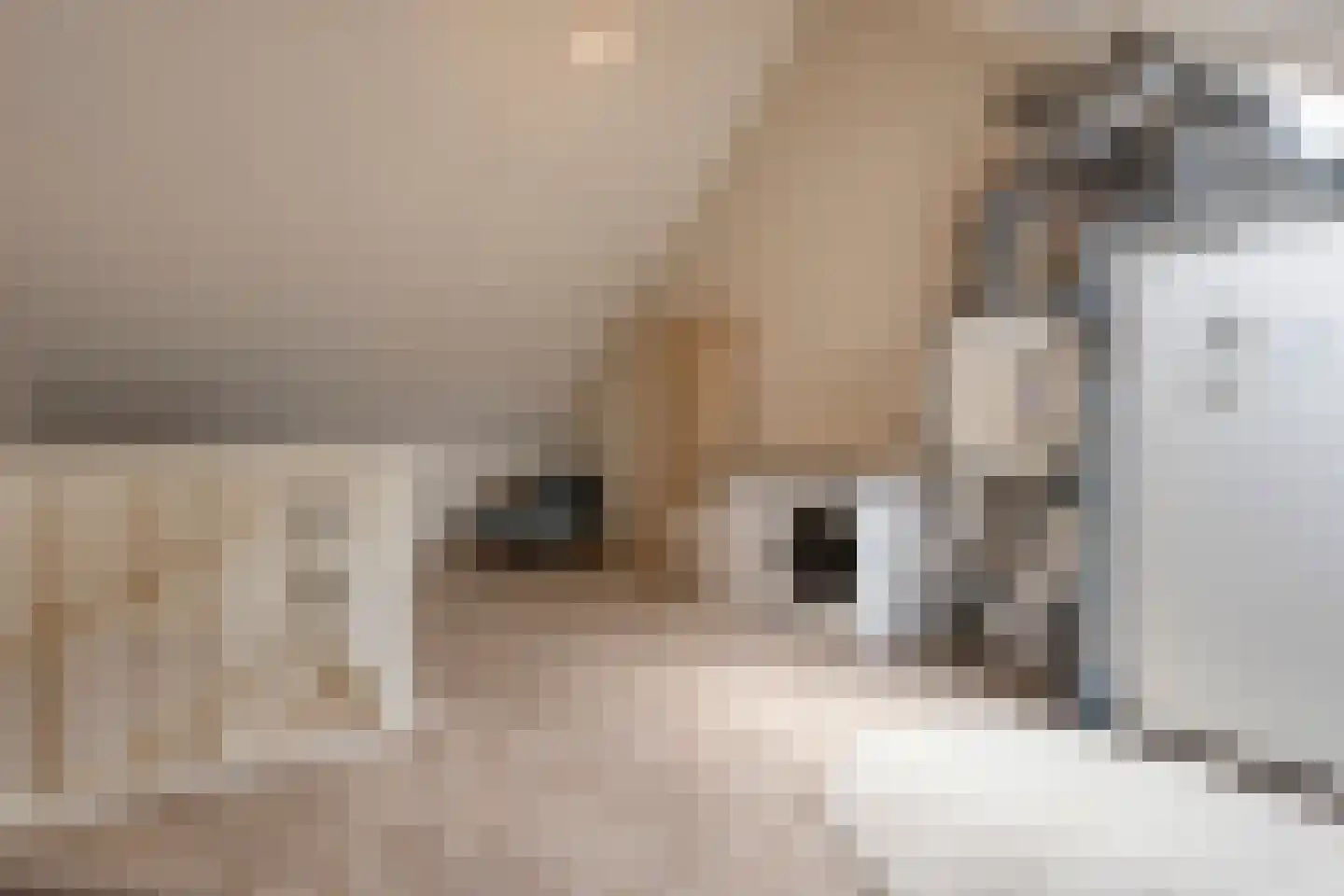 Gepkespad 21 Herpen thumbnail 24