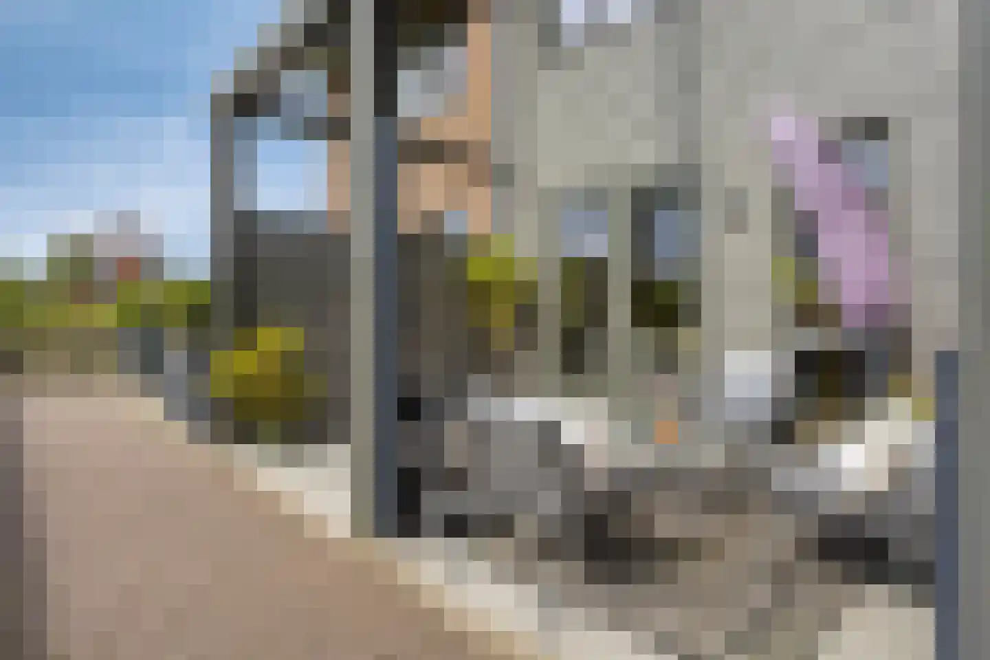 Gepkespad 21 Herpen thumbnail 30