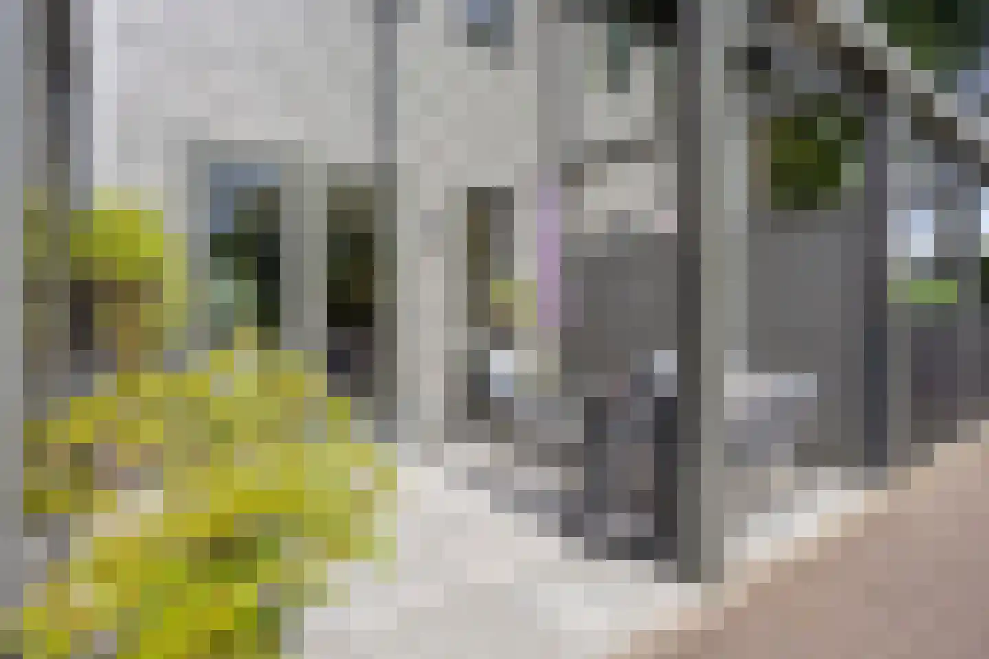 Gepkespad 21 Herpen thumbnail 31