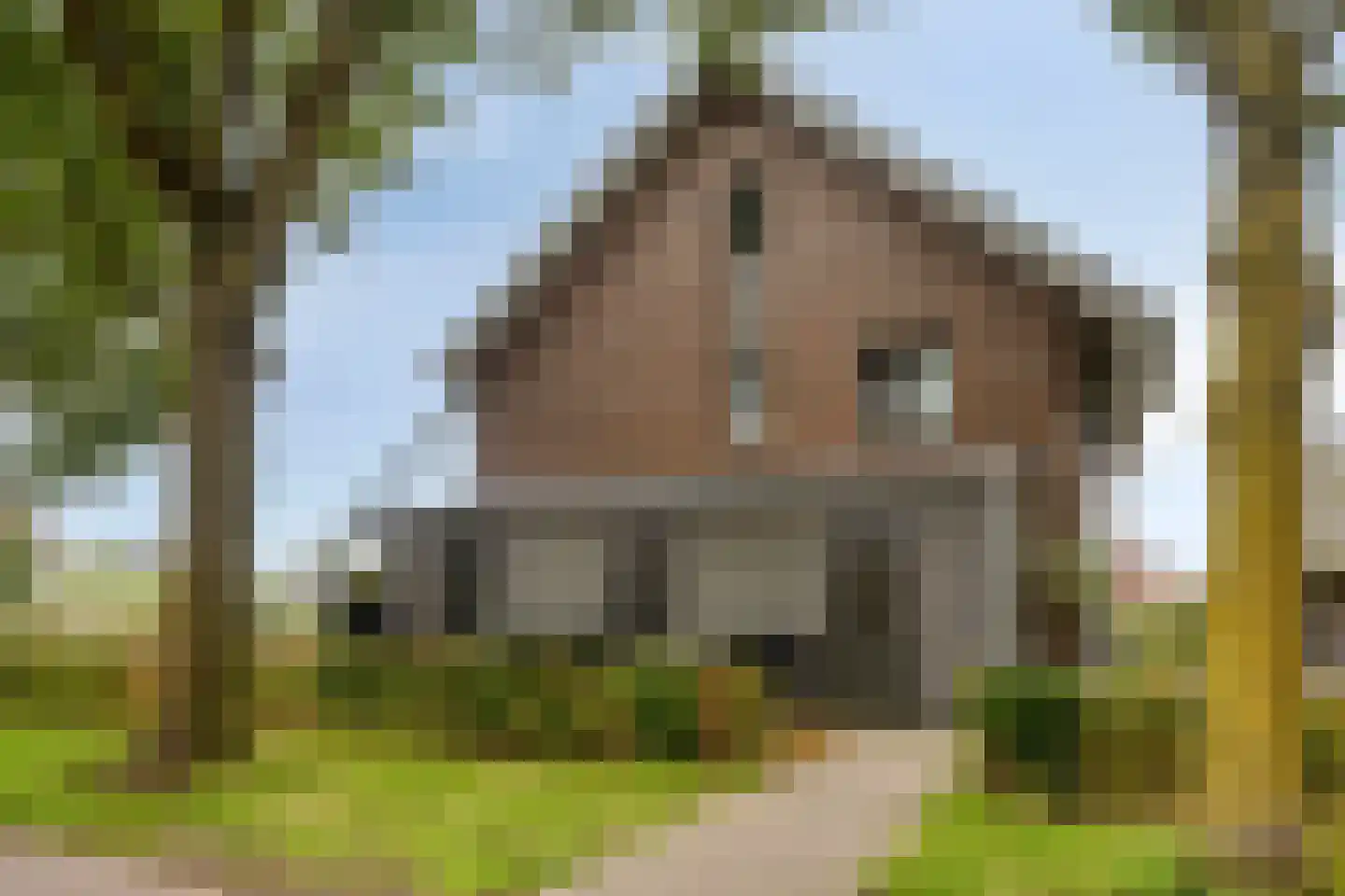 Gepkespad 21 Herpen thumbnail 34