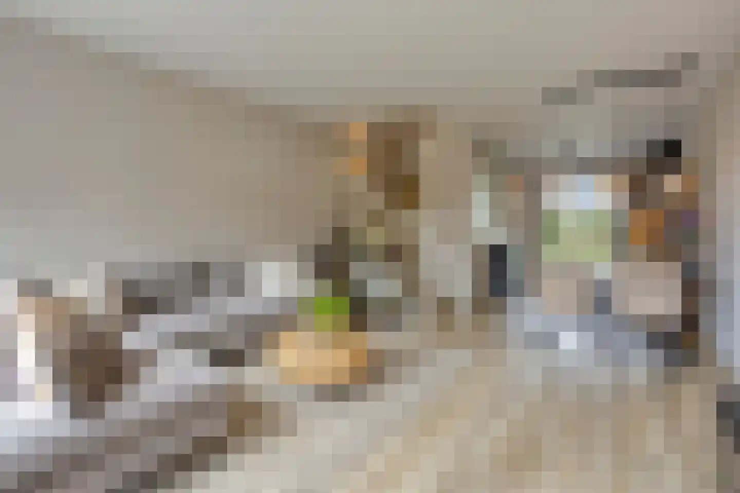 Gepkespad 21 Herpen thumbnail 7