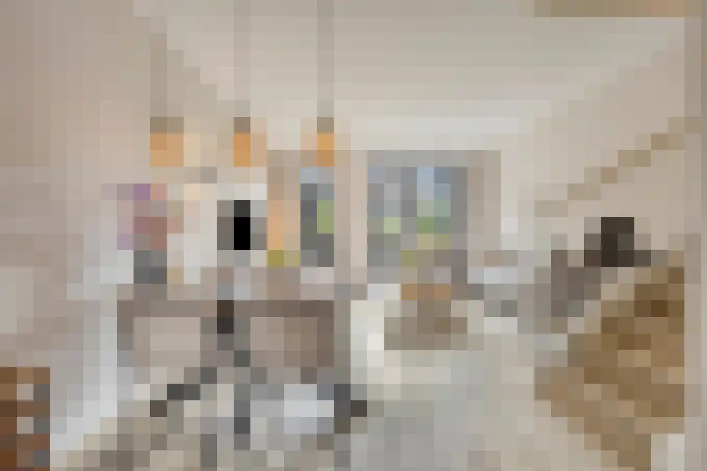 Gepkespad 21 Herpen thumbnail 8