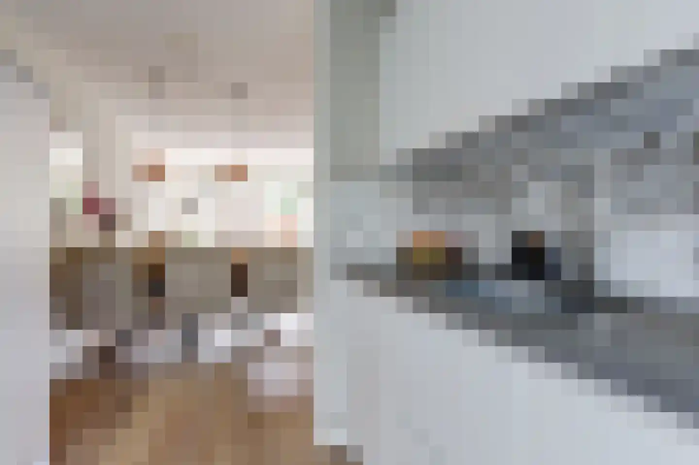 Ger Ladagestraat 14 Rotterdam thumbnail 11
