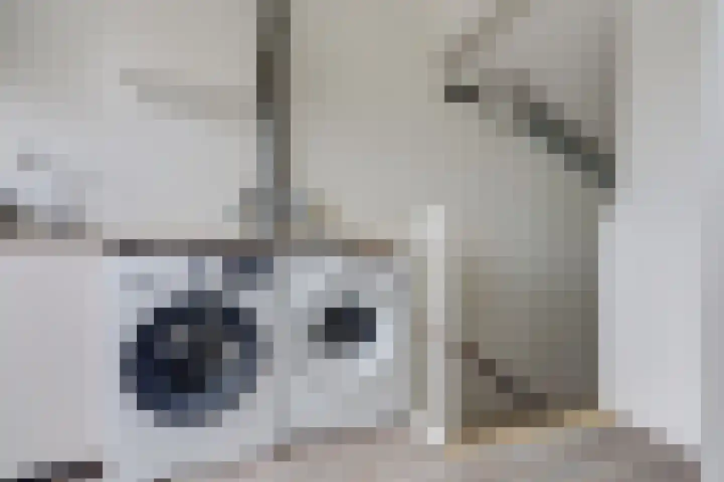 Ger Ladagestraat 14 Rotterdam thumbnail 23