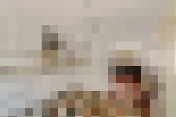 Ger Ladagestraat 21 Rotterdam thumbnail 13