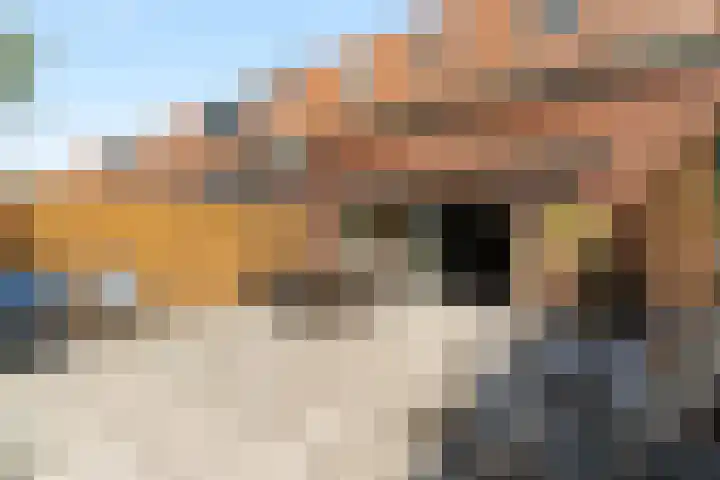 Ger Ladagestraat 21 Rotterdam thumbnail 32