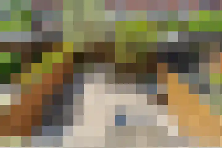 Ger Ladagestraat 21 Rotterdam thumbnail 4