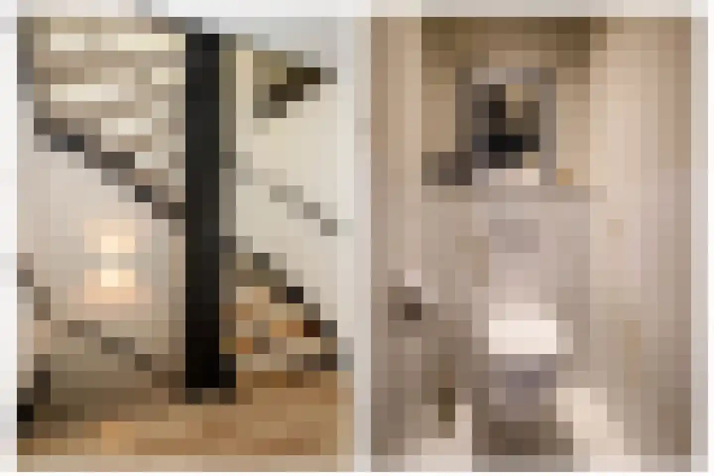Ger Ladagestraat 6 Rotterdam thumbnail 19