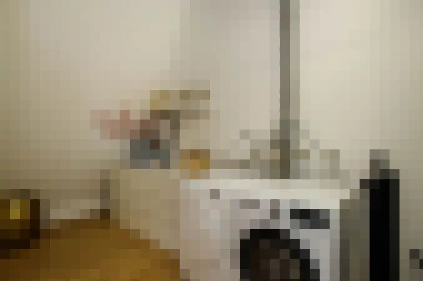 Ger Ladagestraat 6 Rotterdam thumbnail 26