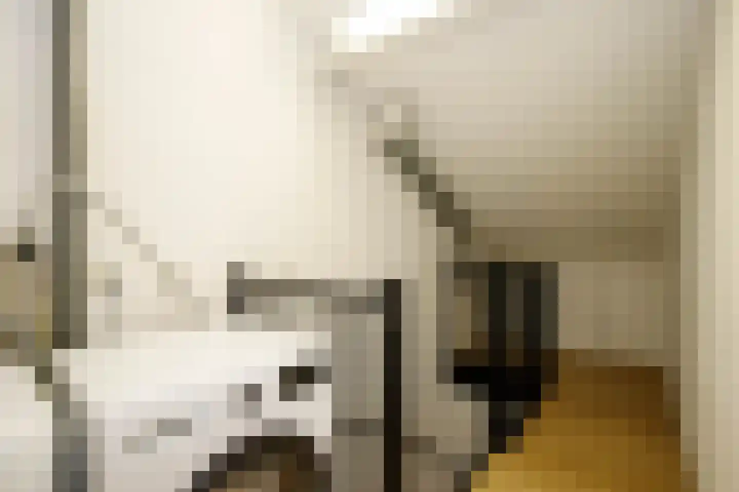 Ger Ladagestraat 6 Rotterdam thumbnail 27