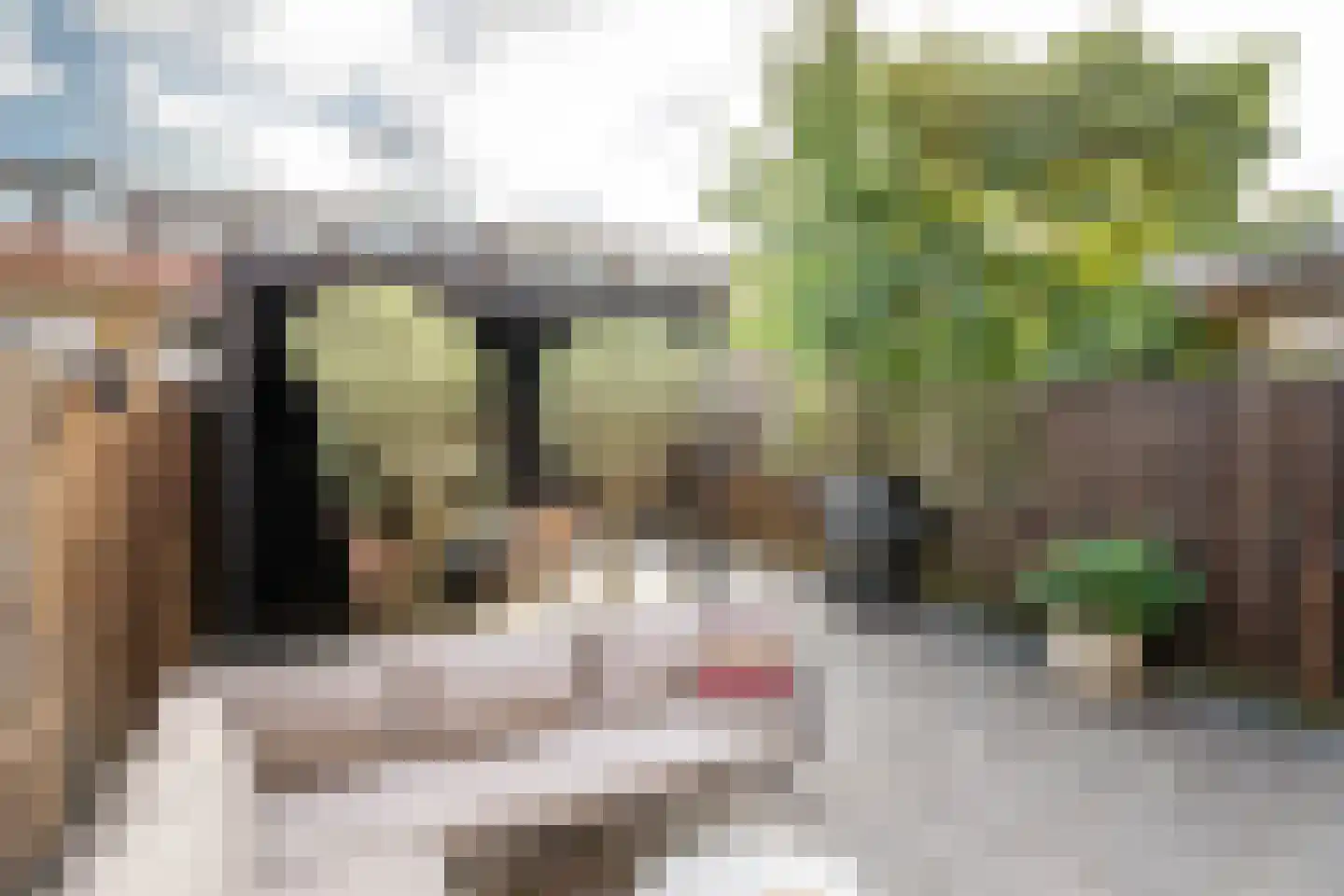Ger Ladagestraat 6 Rotterdam thumbnail 32