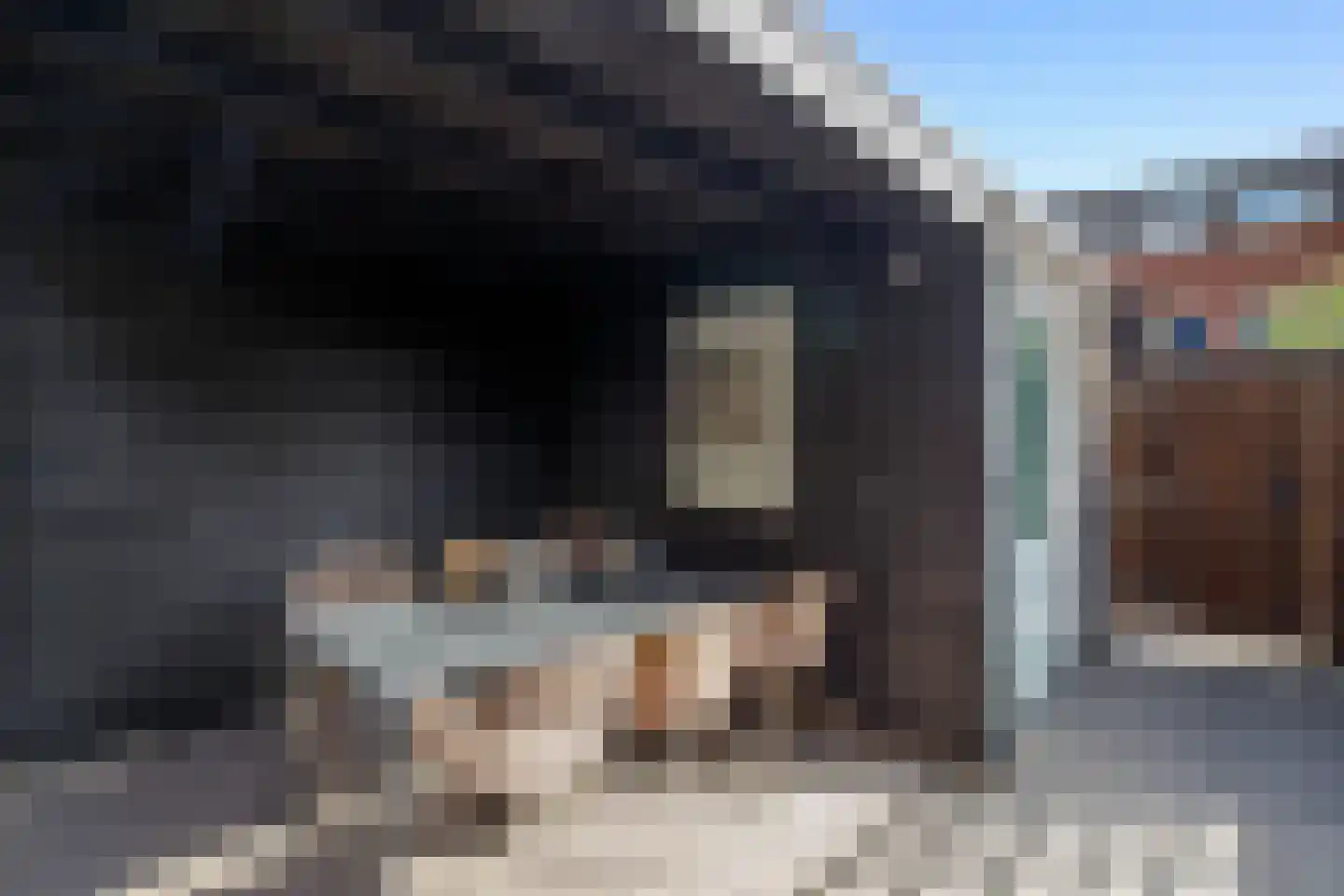 Ger Ladagestraat 6 Rotterdam thumbnail 34