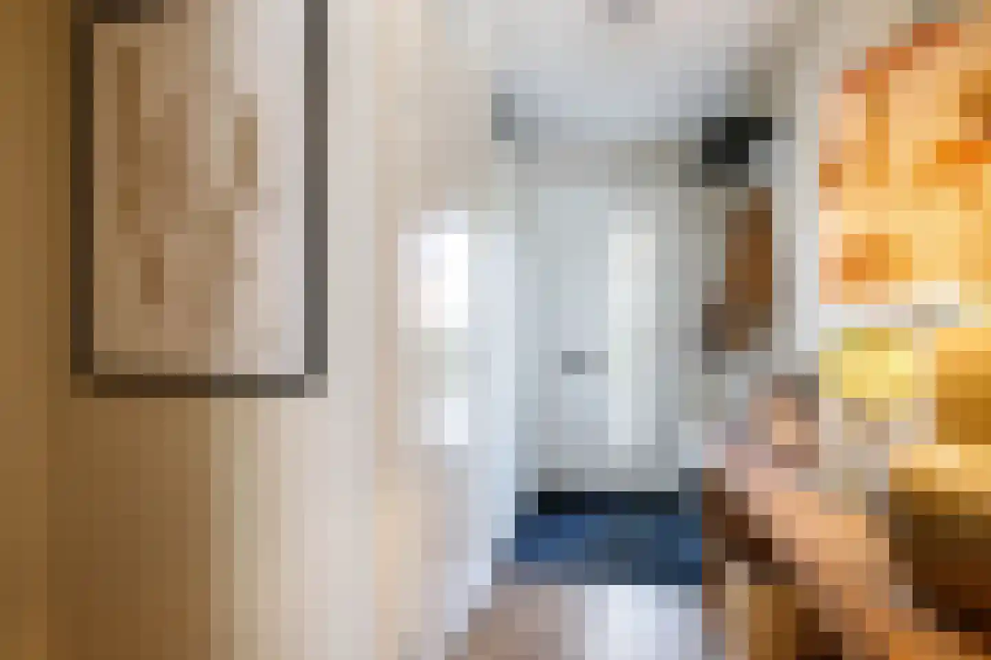 Ger Ladagestraat 6 Rotterdam thumbnail 6