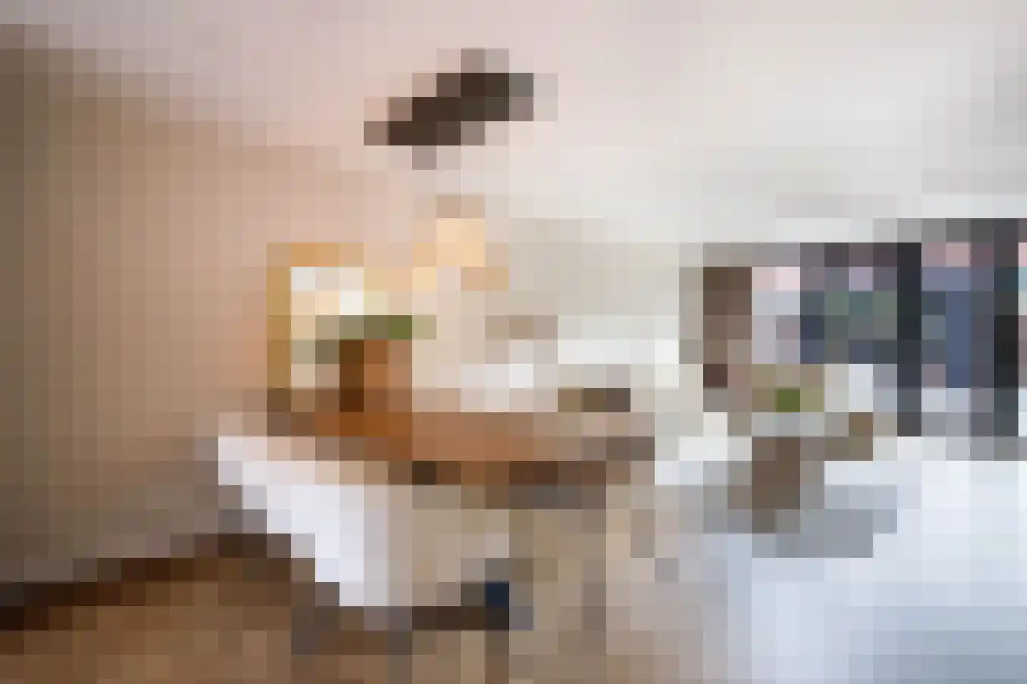 Ger Ladagestraat 6 Rotterdam thumbnail 8