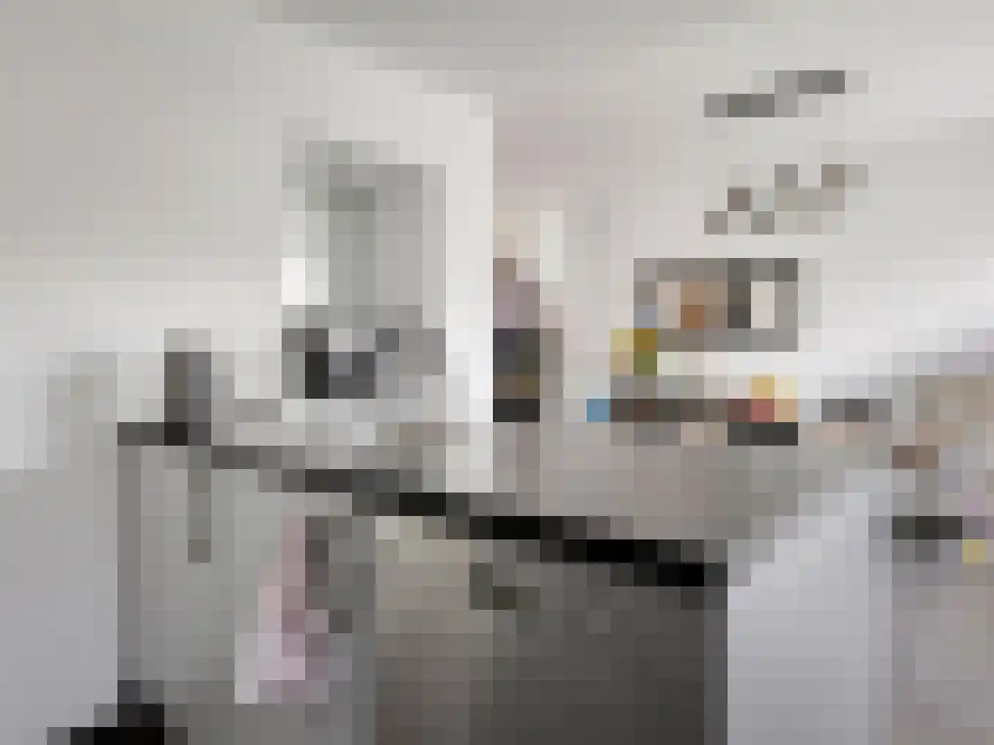 Ger Wijnhovenstraat 14 Tienray thumbnail 10