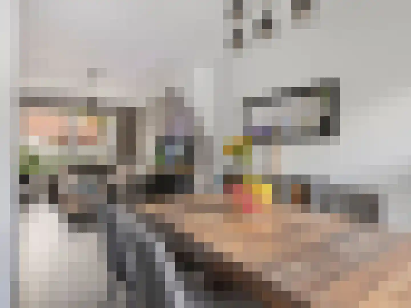 Ger Wijnhovenstraat 14 Tienray thumbnail 8