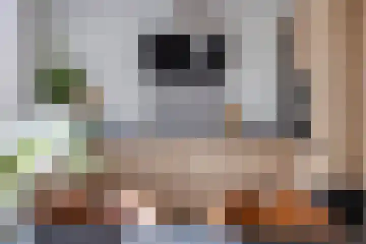 Geraert Brandtstraat 17 Eindhoven thumbnail 11