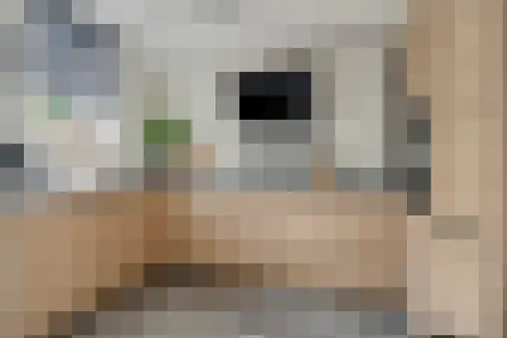 Geraert Brandtstraat 17 Eindhoven thumbnail 13