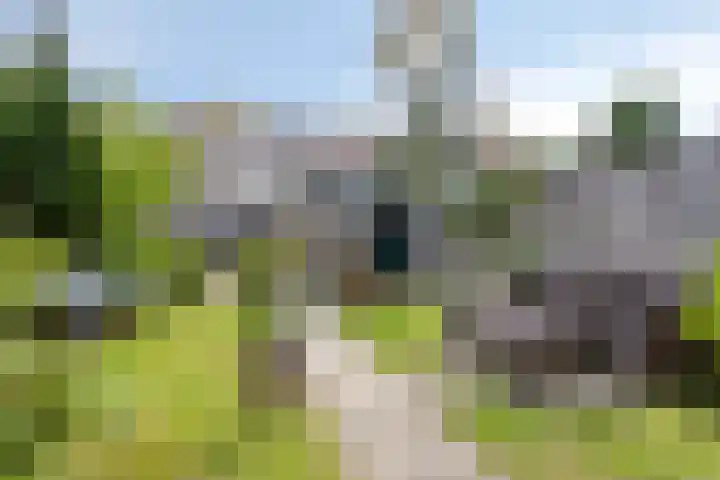 Geraert Brandtstraat 17 Eindhoven thumbnail 4