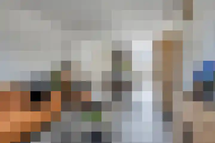 Geraert Brandtstraat 17 Eindhoven thumbnail 8