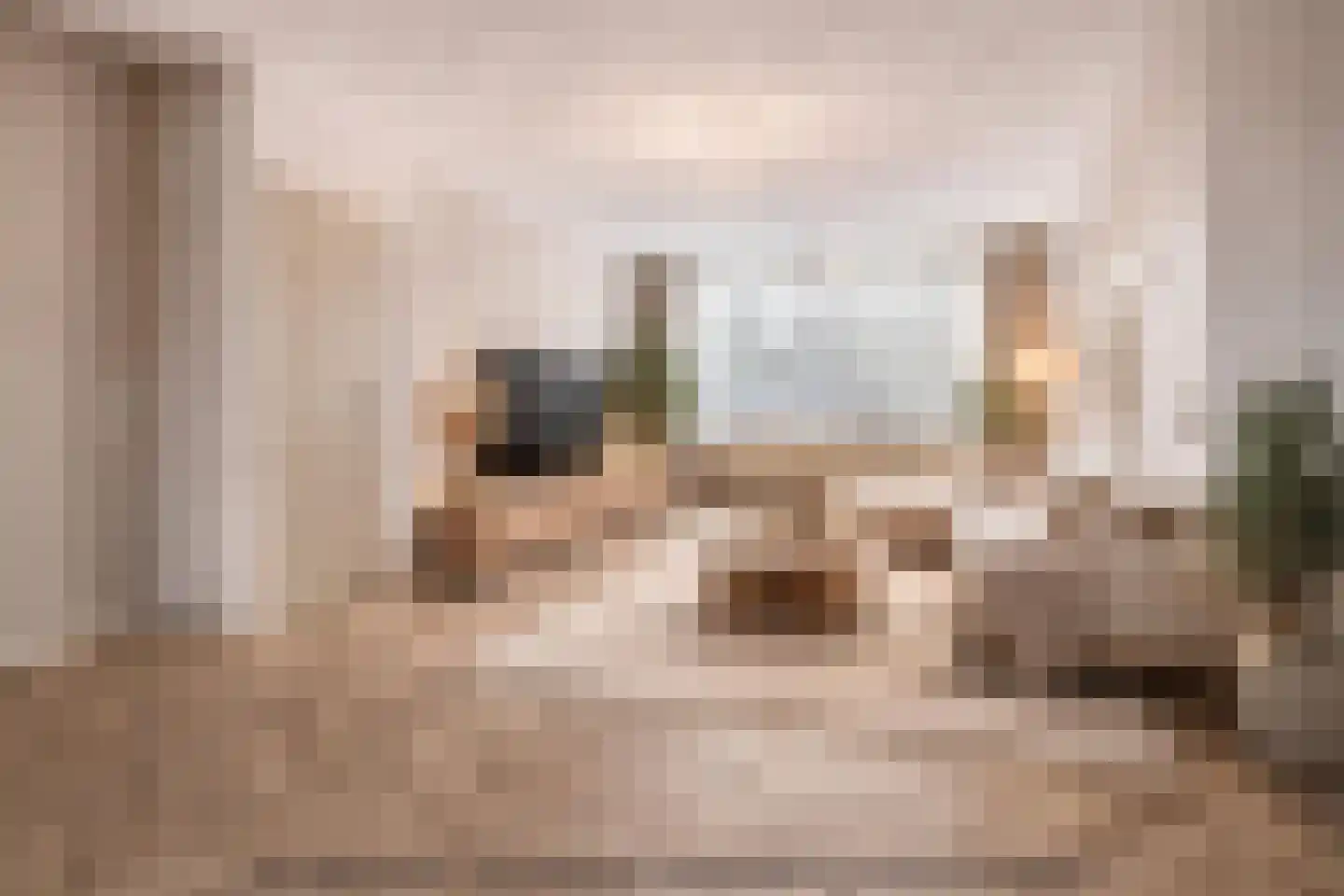 Geraert Brandtstraat 19 Eindhoven thumbnail 16