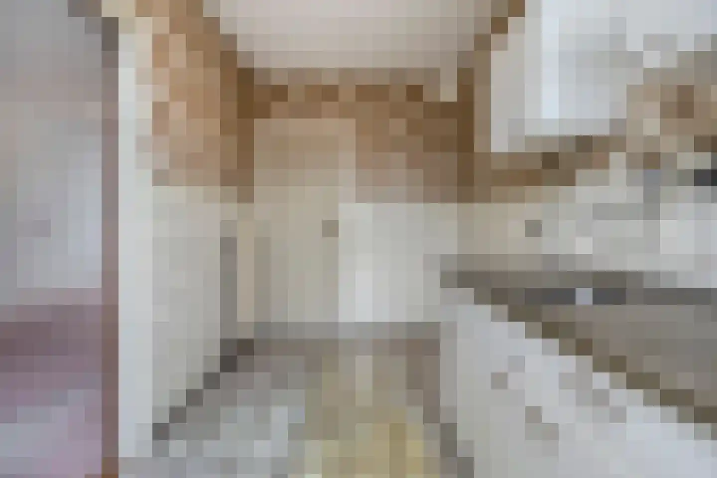 Geraert Brandtstraat 19 Eindhoven thumbnail 19