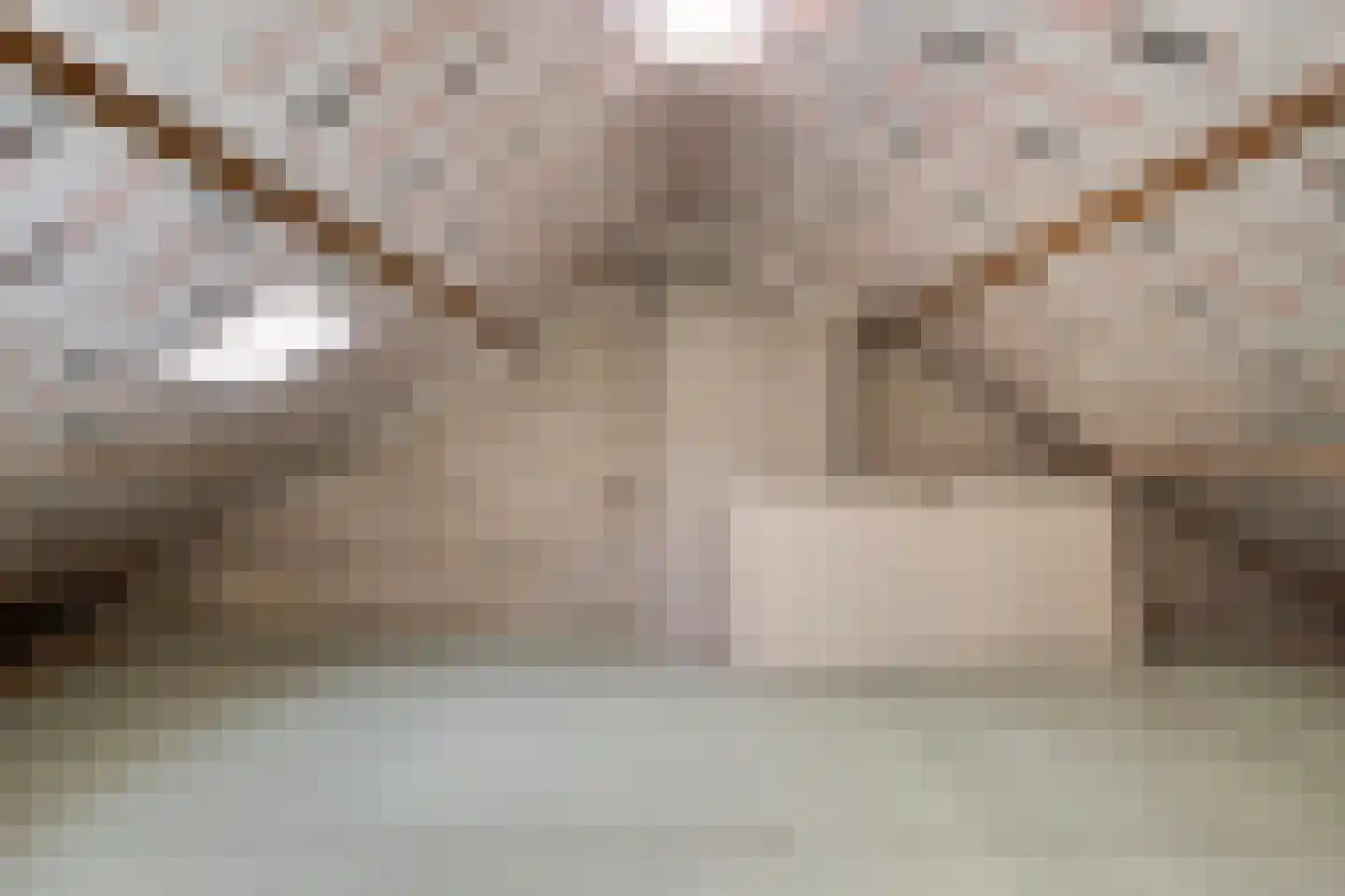 Geraert Brandtstraat 19 Eindhoven thumbnail 29