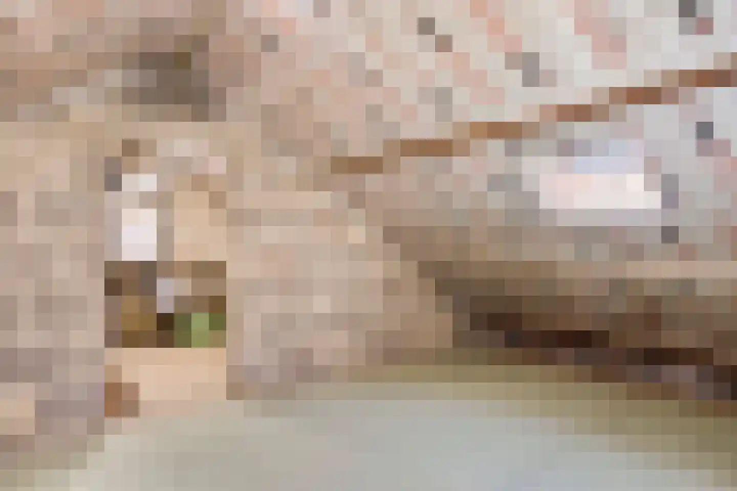Geraert Brandtstraat 19 Eindhoven thumbnail 30