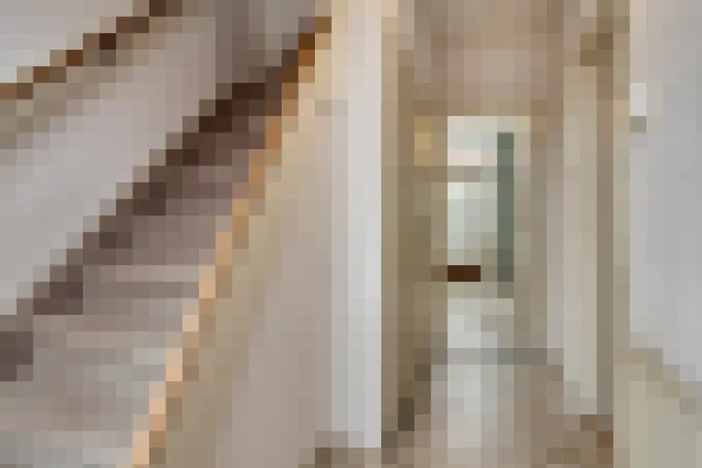 Geraert Brandtstraat 19 Eindhoven thumbnail 7