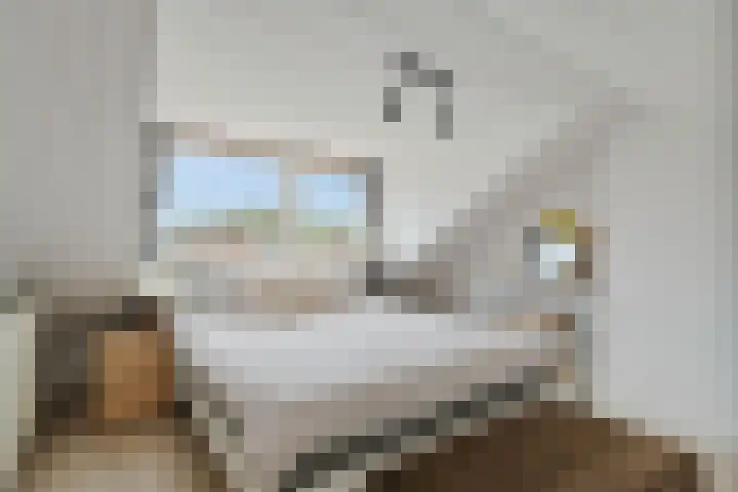 Geraert Brandtstraat 27 Eindhoven thumbnail 18