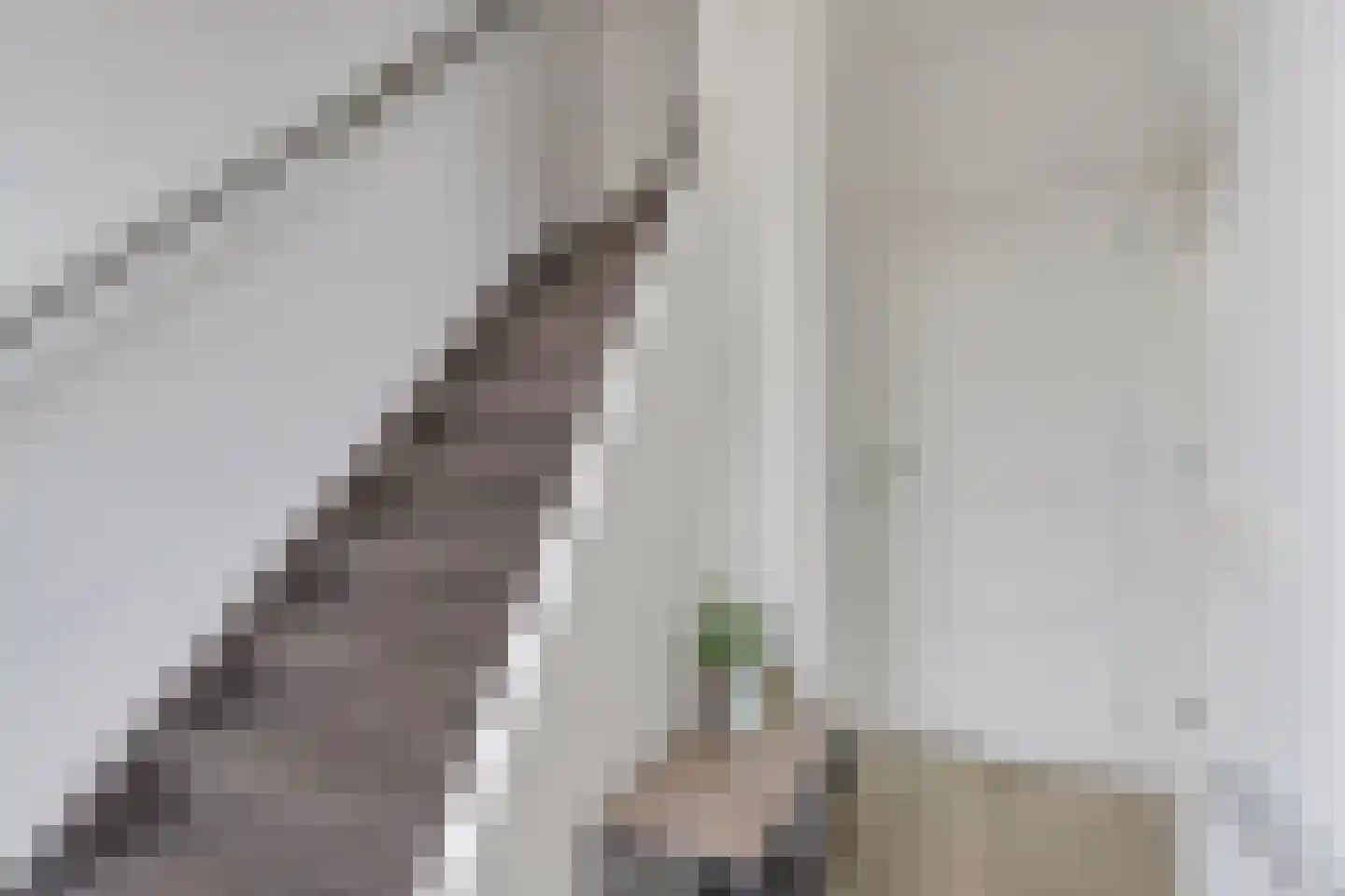 Geraert Brandtstraat 27 Eindhoven thumbnail 4