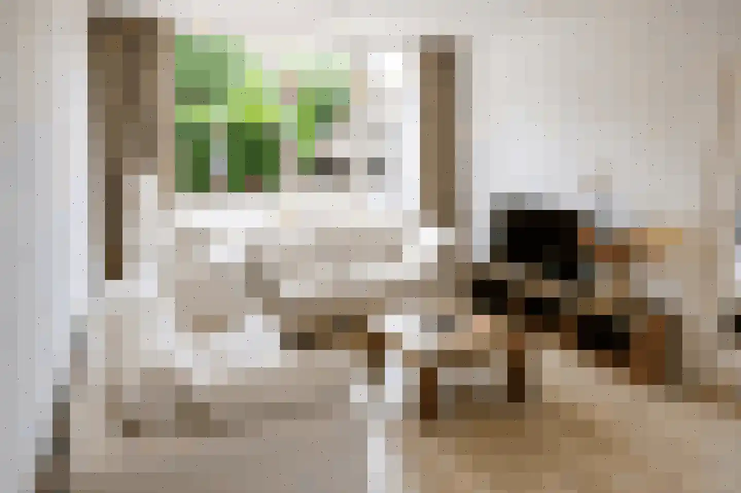 Geraert Brandtstraat 27 Eindhoven thumbnail 5