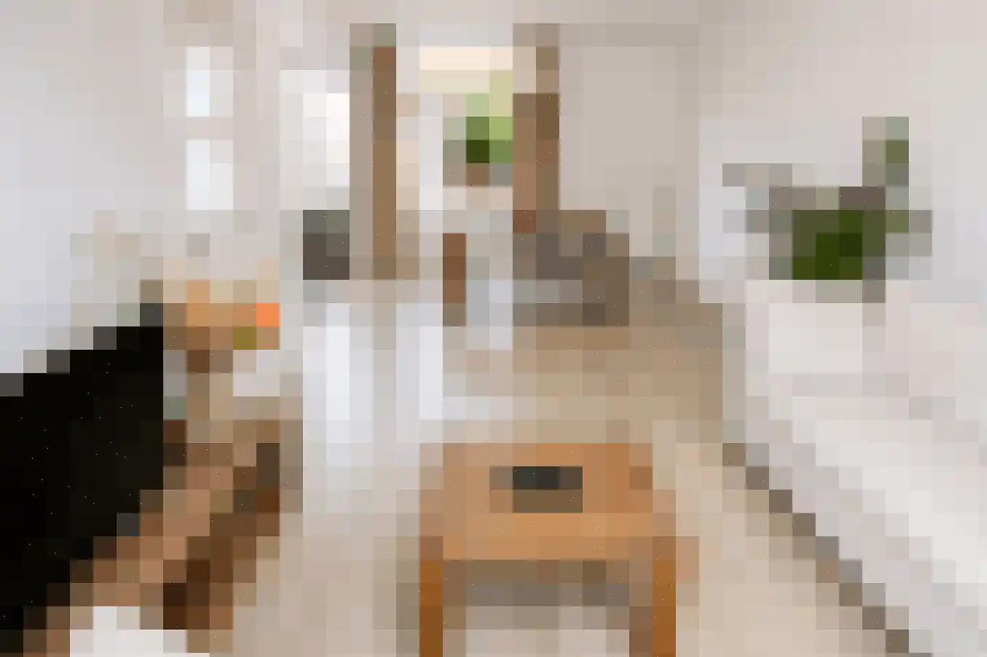 Geraert Brandtstraat 27 Eindhoven thumbnail 6