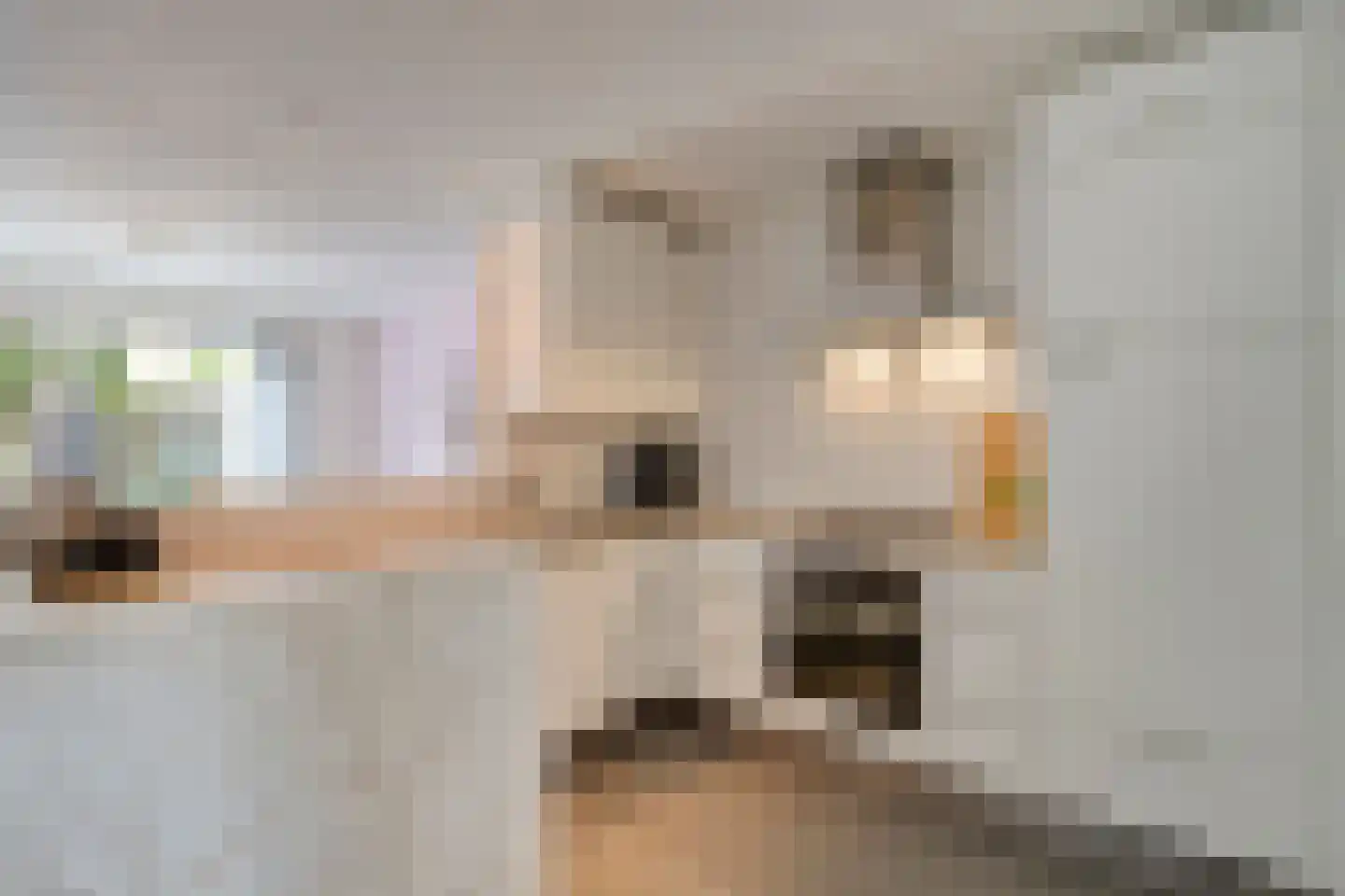 Geraert Brandtstraat 29 Eindhoven thumbnail 15