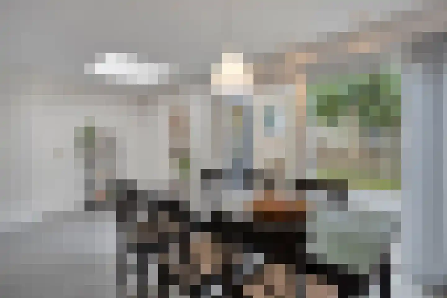 Geraert Brandtstraat 29 Eindhoven thumbnail 18