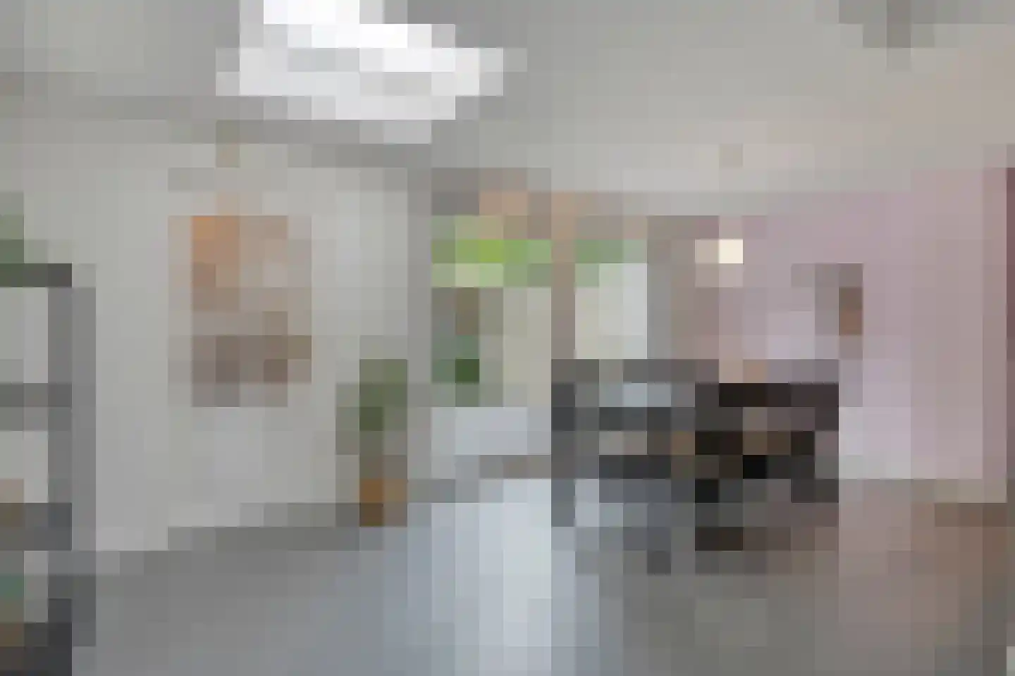 Geraert Brandtstraat 29 Eindhoven thumbnail 19