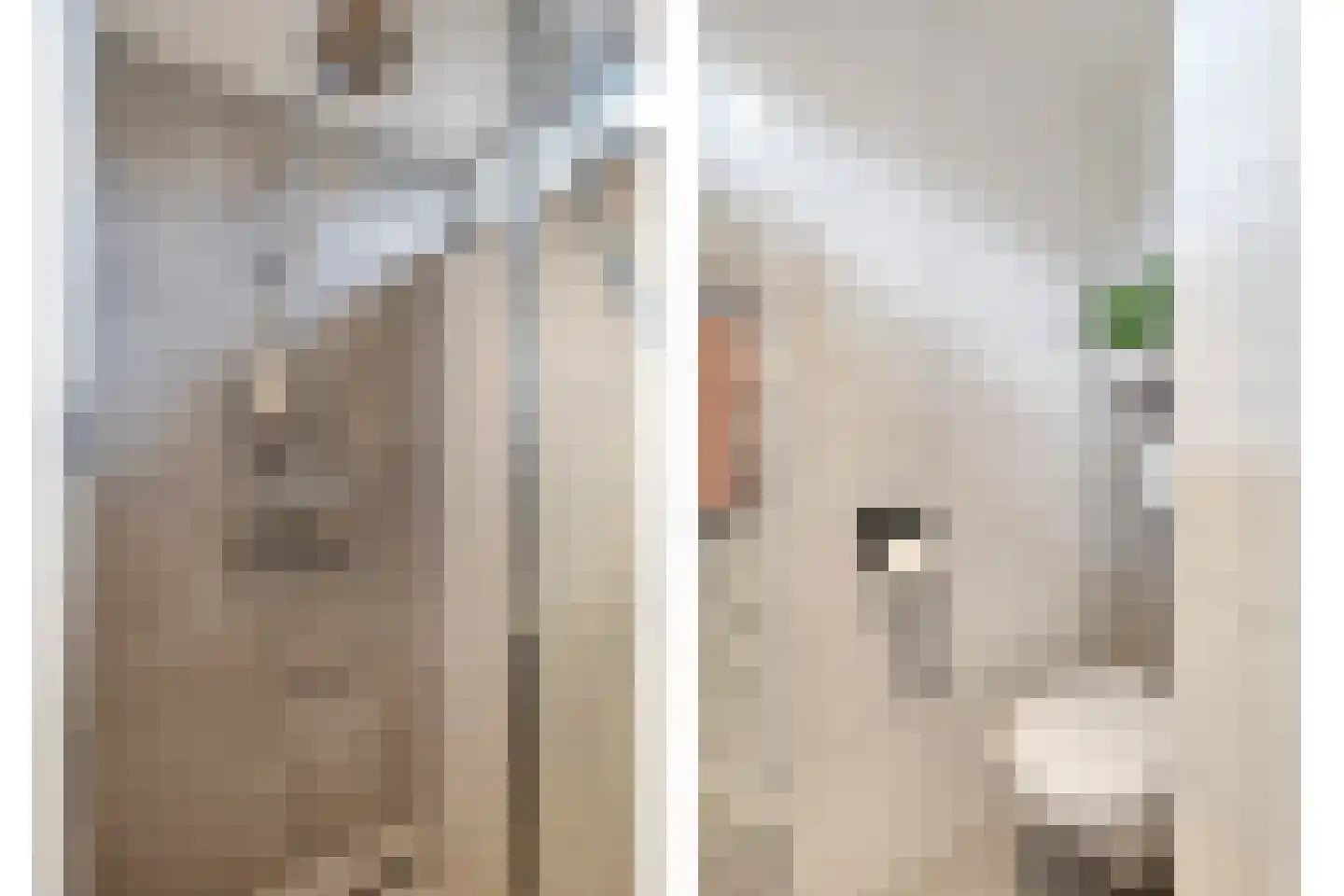 Geraert Brandtstraat 29 Eindhoven thumbnail 24