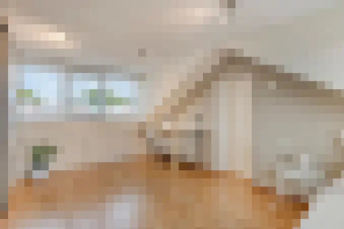 Geraert Brandtstraat 29 Eindhoven thumbnail 32