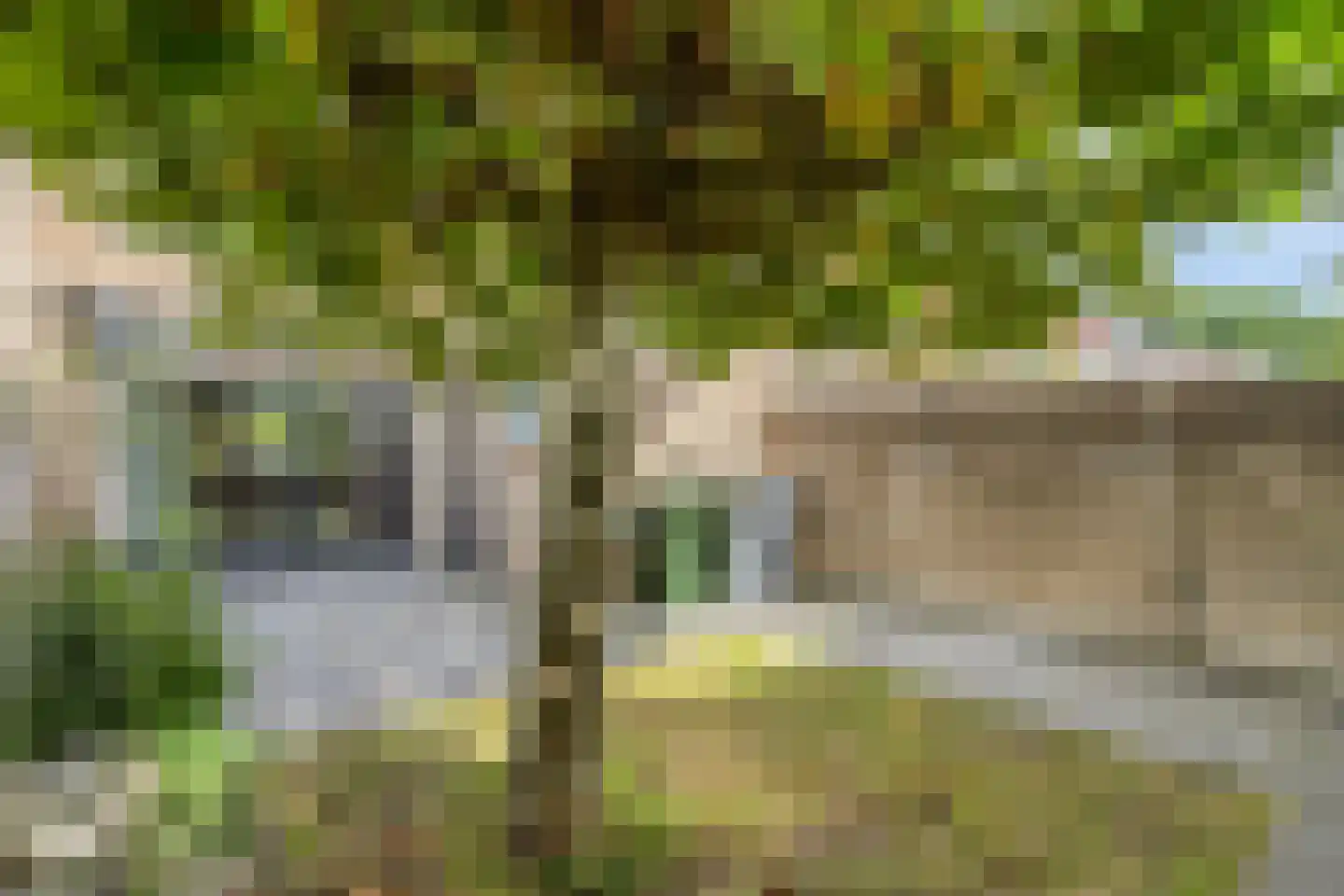 Geraert Brandtstraat 29 Eindhoven thumbnail 37
