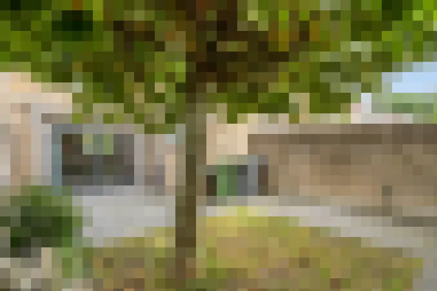 Geraert Brandtstraat 29 Eindhoven thumbnail 38