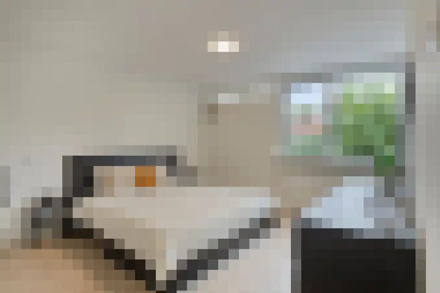 Geraert Brandtstraat 29 Eindhoven thumbnail 5