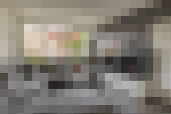 Geraert Brandtstraat 7 Eindhoven thumbnail 11