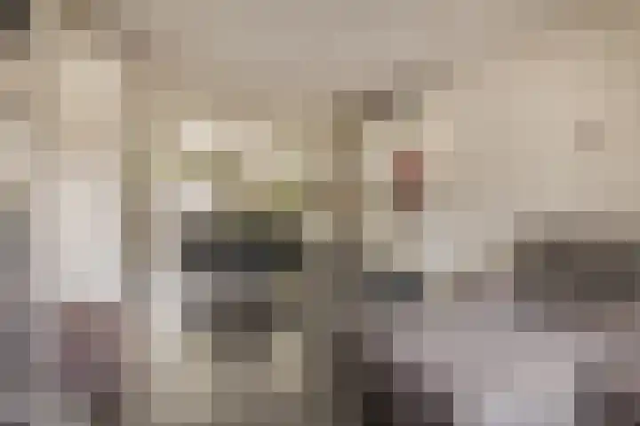Geraert Brandtstraat 7 Eindhoven thumbnail 12