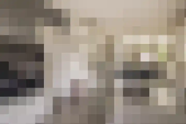 Geraert Brandtstraat 7 Eindhoven thumbnail 13