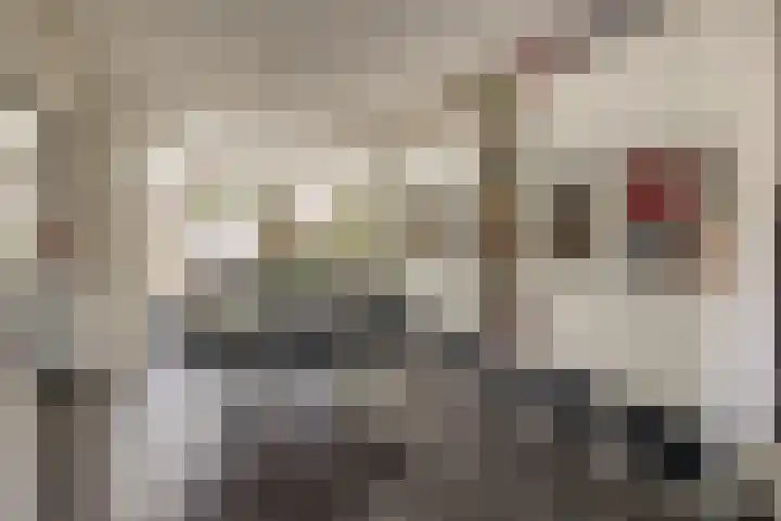 Geraert Brandtstraat 7 Eindhoven thumbnail 14