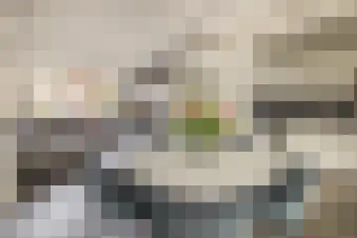 Geraert Brandtstraat 7 Eindhoven thumbnail 16